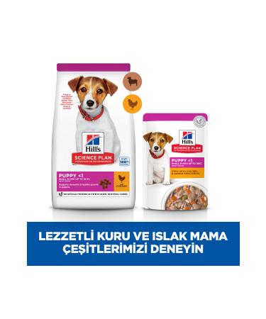 Hill's SCIENCE PLAN Lamb and Rice Small and Mini Breed Puppy Food 1.5 Kg - Buy Online on GoSupps.com