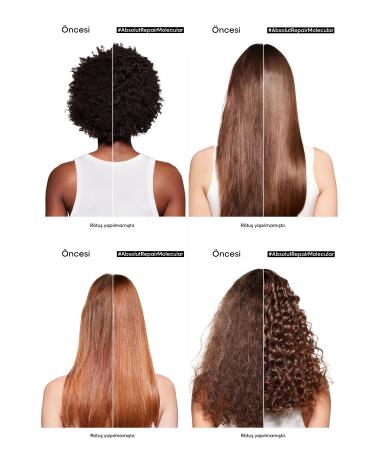 L'Oreal Paris Serie Expert Absolut Repair Molecular Purifying Shampoo for All Damaged Hair - Buy Online on GoSupps.com