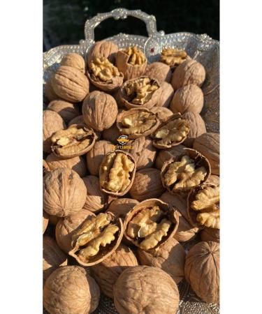 incirciamca Walnut (SHELLED - LOCAL)