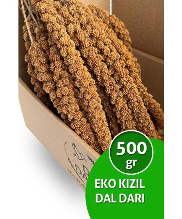 Dal Millet Net Eco Red Dal Millet 500 Gr Budgie Food Dal Millet (organic Dal Millet)