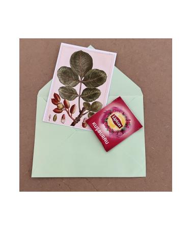 Botan Pistachio Siirt Pistachio 1000 gr - Buy Online on GoSupps.com