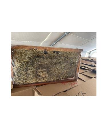 TANBAL ORGANIC HIGH HIGHLAND COMB HONEY BLACK COLOR 3.100KG - Buy Online on GoSupps.com