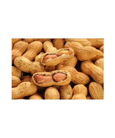 Natural FIELD RING OSMANIYE PEANUTS 3KG