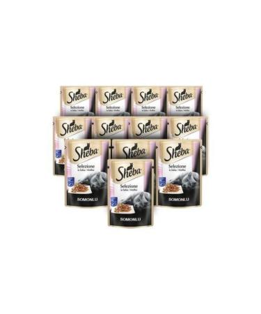SHEBA Salmon Cat Wet Food 85gr 12 Piece Box