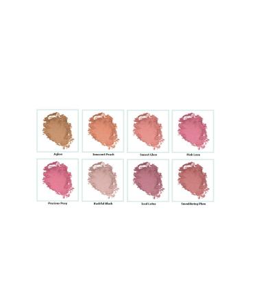 Clinique NATURAL LOOK PERMANENT BLUSH-120 BASHFUL PLUM-6 G PASSI.1113 - Buy Online on GoSupps.com