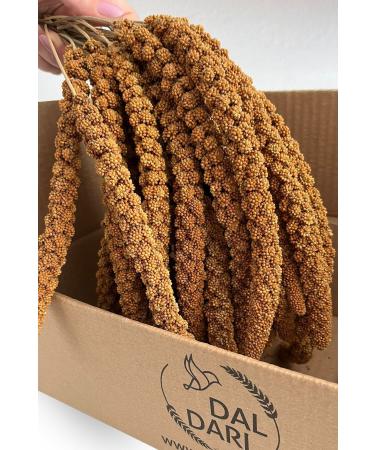 Dal Millet Net Eco Red Dal Millet 500 Gr Budgie Food Dal Millet (organic Dal Millet) - Buy Online on GoSupps.com