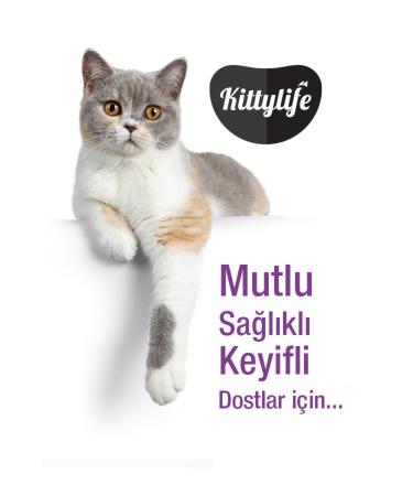 Kittylife Kitten Cat Food Chicken 10kg Kitten Premium - Buy Online on GoSupps.com