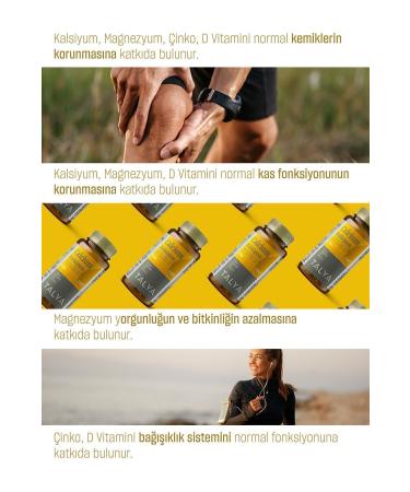 Talya Calcium Magnesium Zinc Vitamin D Containing Supplementary Food 60 Tablets - Buy Online on GoSupps.com