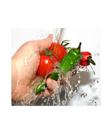 PROX LYT Water Based Alcohol-Free (HYPOCHLOROUS) Food Area Disinfectant 5 Liters Concentrate - Buy Online on GoSupps.com