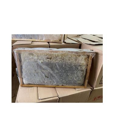 TANBAL ORGANIC HIGH HIGHLAND COMB HONEY BLACK COLOR 3.100KG - Buy Online on GoSupps.com