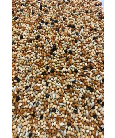 HELSOL Budgie Food Mixed Vitamin 5 KG - Fruitless New Crop Pure Bird Food - HLS9854-8744