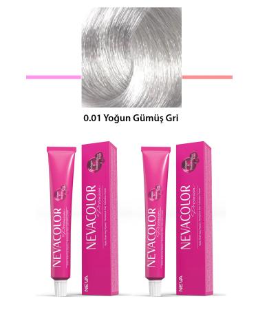 BORES 2 Set Premium 0.01 Intense Silver Grey - Permanent Cream Hair Dye 2 X 50 g Tube - BRS4229-2849
