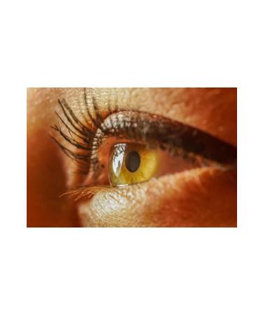 Neutracy Tto Thermal Eye Contour Shampoo 100 ml - Buy Online on GoSupps.com