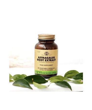 Solgar Astragalus Root 60 Capsules 2 Pieces - Buy Online on GoSupps.com