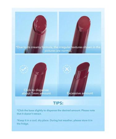 SHEGLAM POUT PERFECT SHINE LIP PLUMPER Sepia Kiss 2gr - Buy Online on GoSupps.com