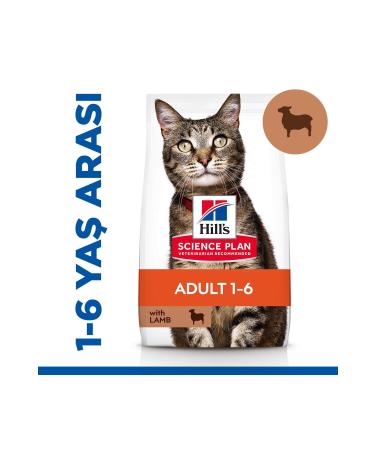 Hill's Lamb Adult Dry Cat Food 3 Kg
