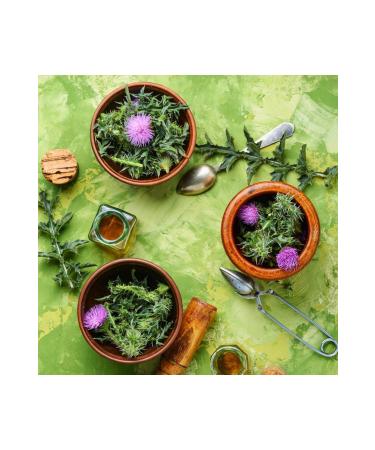 HEALING MOTHER Thistle Seed Oil (50cc.) - Buy Online on GoSupps.com
