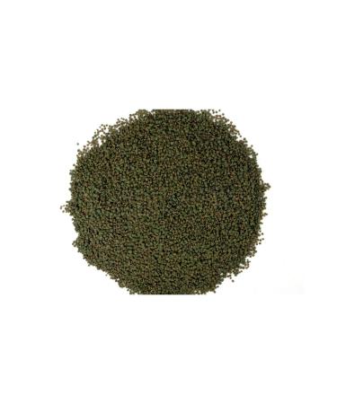 AMORE Cichlid Spirulina Algae Chips 320gr ZipPack Cichlid Fish Food