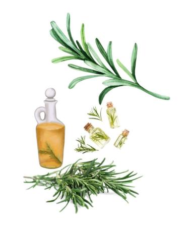 OKTIR Rosemary Oil 30 ml 100% Pure and Natural (HAIR CARE OIL) Fast Growth Helping Oil - Buy Online on GoSupps.com