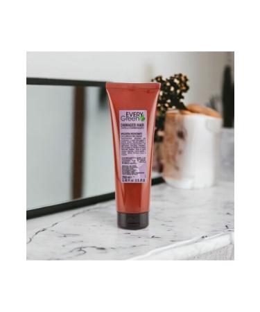 EveryGreen Restructuring and Repairing Hair Mask Damaged Hair 250 ml - Buy Online on GoSupps.com
