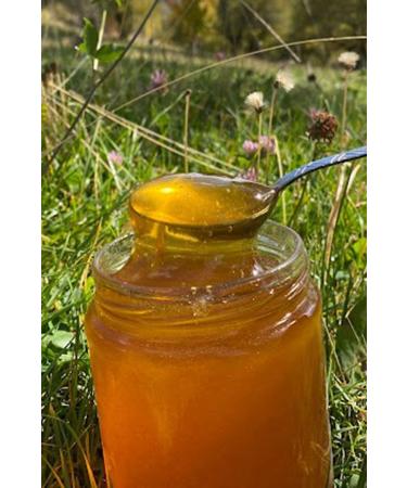 Come From The Village Pure Honey - 850 grams - Buy Online on GoSupps.com