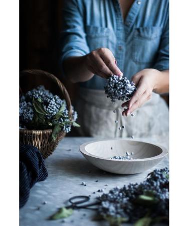 FERMENTE WORKSHOP Black Elderberry Syrup 250cc. (immune system) - Buy Online on GoSupps.com