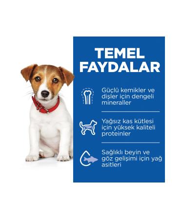 Hill's SCIENCE PLAN Lamb and Rice Small and Mini Breed Puppy Food 1.5 Kg - Buy Online on GoSupps.com