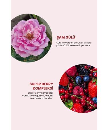 DEOPROCE Adenosine Containing Anti-Wrinkle Eye & Neck Cream That Eliminates Under-Eye Dark Spots 10 ml - Buy Online on GoSupps.com