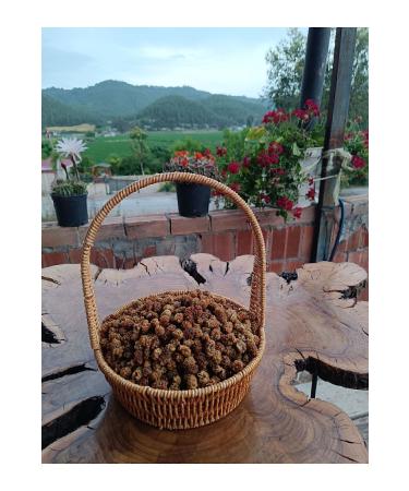 Dried Mulberry from the lady's hand (new crop) 500 gr - Buy Online on GoSupps.com