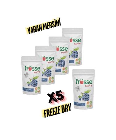frosse Blueberry Crisps Freeze Dried 5-pack Blueberry Chips
