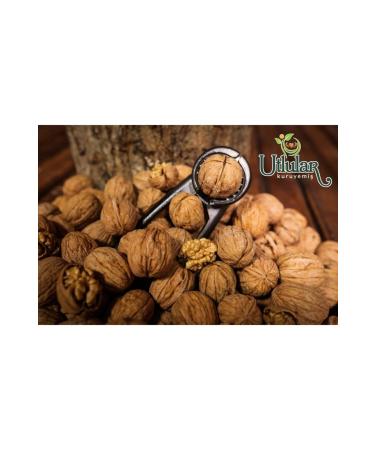 UTLULAR DRIED NUT Shelled Walnuts 5 Kg (New Crop Local Thin Shell) - Buy Online on GoSupps.com