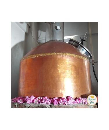 Diplomaliciftci Pure Rose Water (500ml) - Buy Online on GoSupps.com