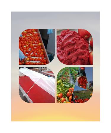 Matrix Tomato Paste (1 KG)