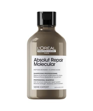 L'Oreal Paris Serie Expert Absolut Repair Molecular Purifying Shampoo for All Damaged Hair