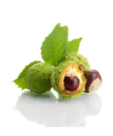 Balen Horse Chestnut Extract - Buy Online on GoSupps.com