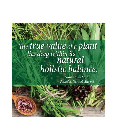 naturestock Licorice Root Extract Anti-Spot Serum 30 ml (IHERB) - Buy Online on GoSupps.com