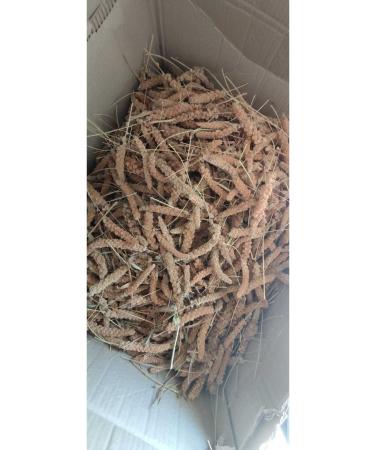 Erenpet Finger Size Red Millet (1000 Gr.) - Buy Online on GoSupps.com