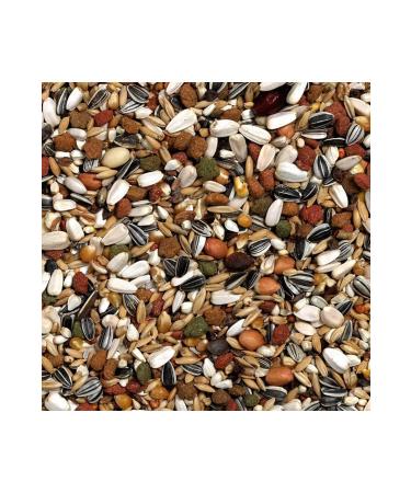 Versele Laga Prestige Premium Loro Parque African Parrot Food Exp 6 Kg Current Sk - Buy Online on GoSupps.com