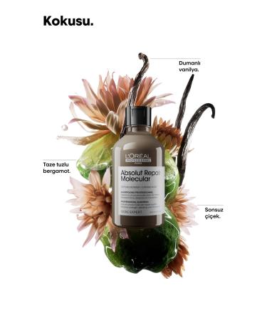 L'Oreal Paris Serie Expert Absolut Repair Molecular Purifying Shampoo for All Damaged Hair - Buy Online on GoSupps.com