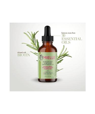 mielle organics Mielle plus