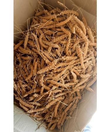 Erenpet Finger Size Red Millet (1000 Gr.)