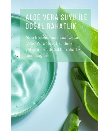 Reagain Anti-Wrinkle Plumping Collagen Hyaluronic Acid Algae Skin Care Serum 30 ml - Buy Online on GoSupps.com