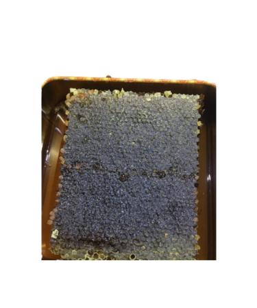 POLENBALEV Comb Honey Sivas Kangal Region 3.5 kg Natural Comb Honey