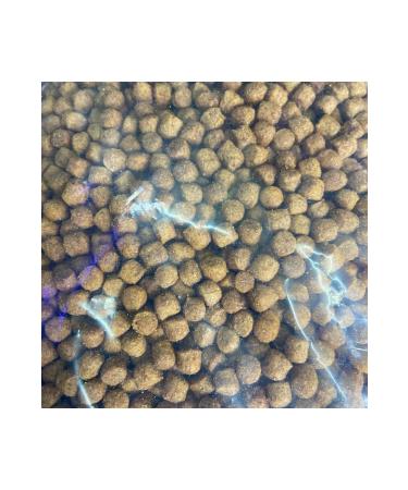 Fauna Pet Supplies Rico Brand 1kg Kitten 1kg Chicken Adult and 1kg Fish Adult Cat Food - Buy Online on GoSupps.com