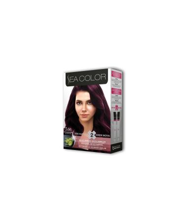 ENSAR CLOTHING 2 Tube Cream Hair Dye Set Eggplant Purple No: 3.66