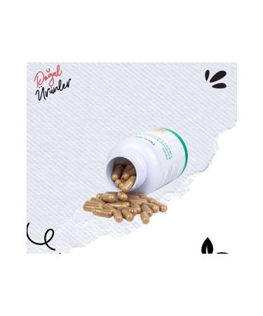 Tiens Chitosan Containing Capsule Supplementary Food - Buy Online on GoSupps.com