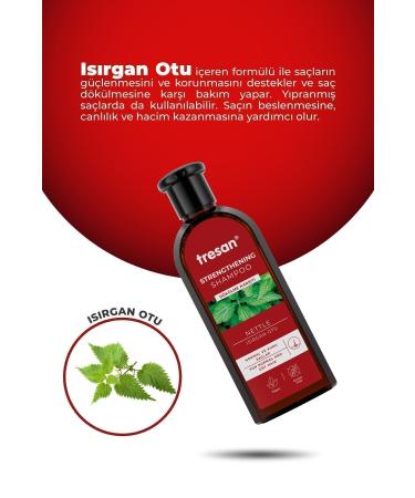 Tresan Anti-Loss Nettle Strengthening Care Shampoo 300 Ml For Normal and Dry Hair+tre - Buy Online on GoSupps.com