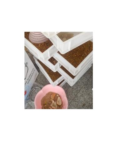 FAGIDA Food 50gr Mealworm Fish Gecko Bird Chick