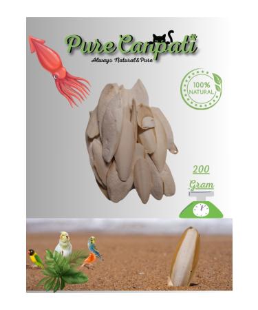 PureCanpati Squid Bone Cuttlefish Bone 200gr Broken and Small Squid Bone 200 Grams
