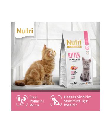 Nutri Feline Kitten Fresh Salmon Kitten Cat Food 2 Kg - Gluten Free - Buy Online on GoSupps.com